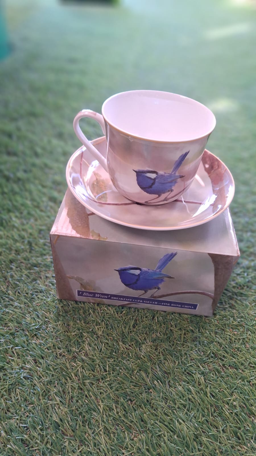 Breakfast Set | Plants N Logs